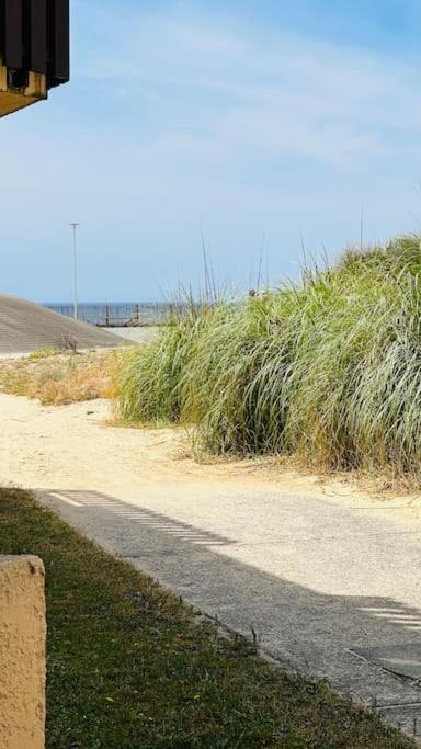 Appartement 2 A 4 Personnes A 50M De La Plage Lacanau Bagian luar foto